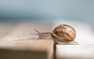 Supera la por a parlar en públic